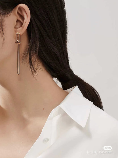 [Resenly Jewelry]HARDWEAR DOUBLE LONG LINK EARRINGS