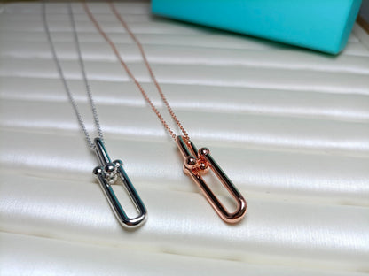 [Resenly Jewelry]HARDWEAR DROP DOUBLE LINK PEDANT NECKLACE