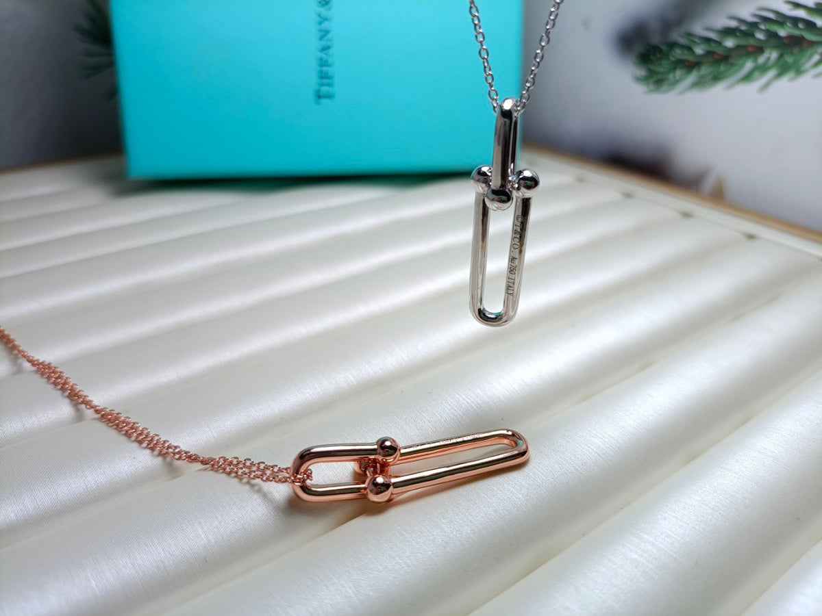 [Resenly Jewelry]HARDWEAR DROP DOUBLE LINK PEDANT NECKLACE