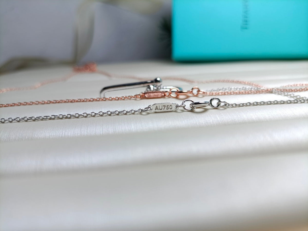 [Resenly Jewelry]HARDWEAR DROP DOUBLE LINK PEDANT NECKLACE