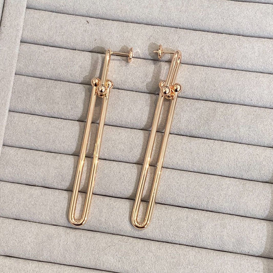 [Resenly Jewelry]HARDWEAR DOUBLE LONG LINK EARRINGS