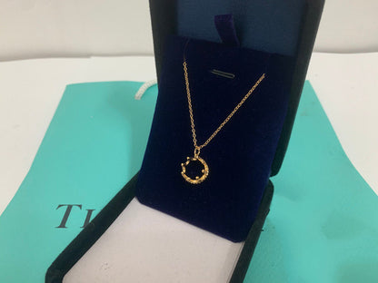 [Resenly Jewelry]CROWN NECKLACE MECARI