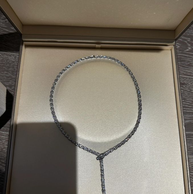 [Resenly Jewelry]NEW！SERPENT DIAMOND NECKLACE