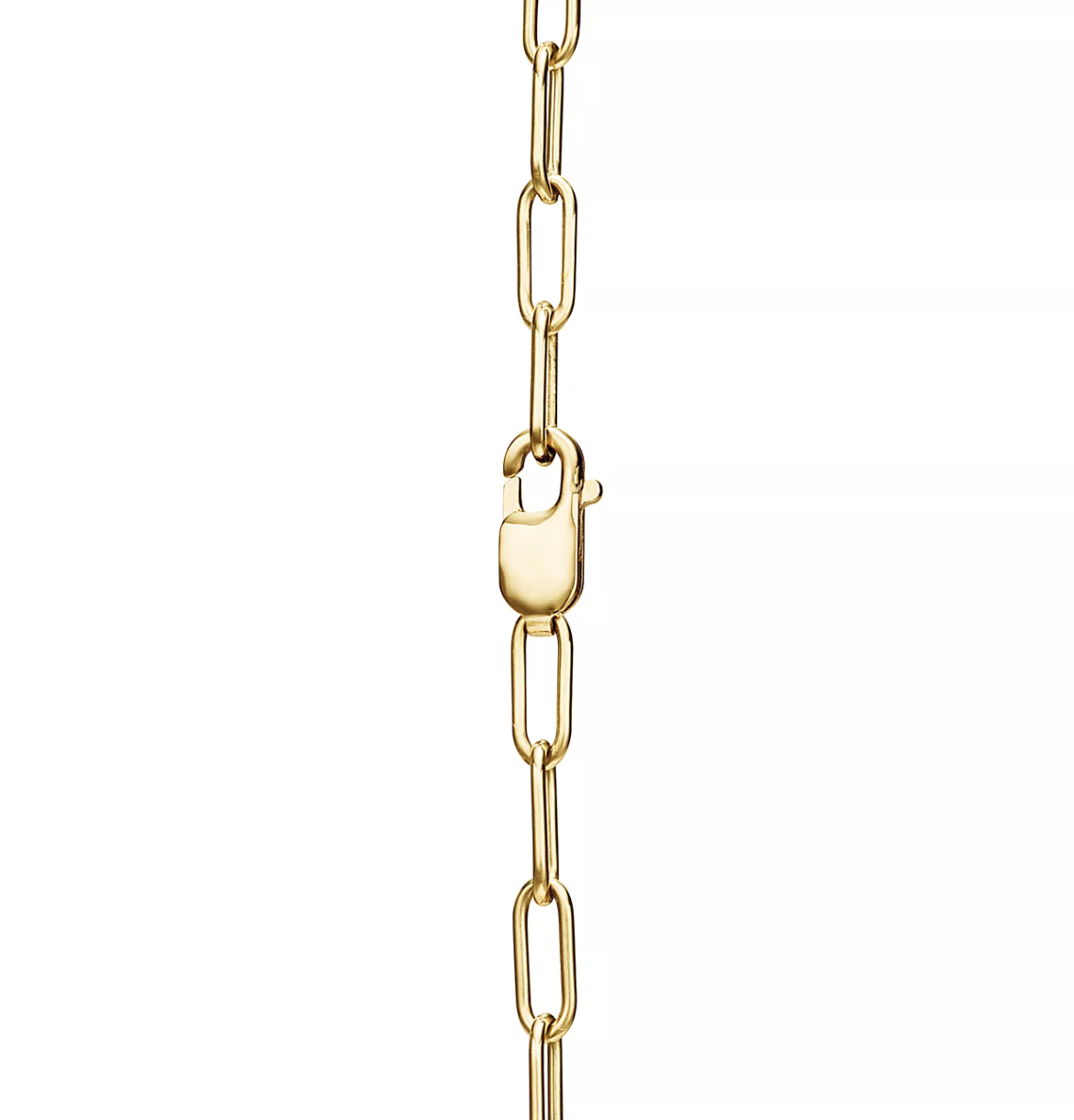 [Resenly Jewelry]LOCK NECKLACE GOLD