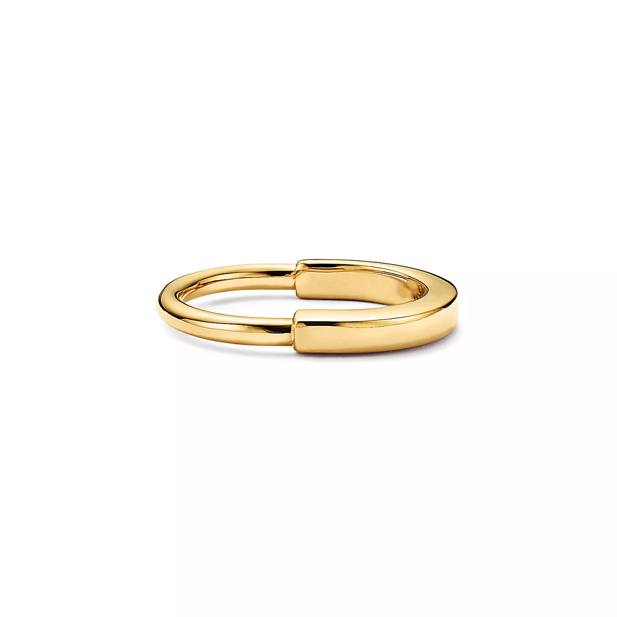 [Resenly Jewelry]LOCK RING GOLD
