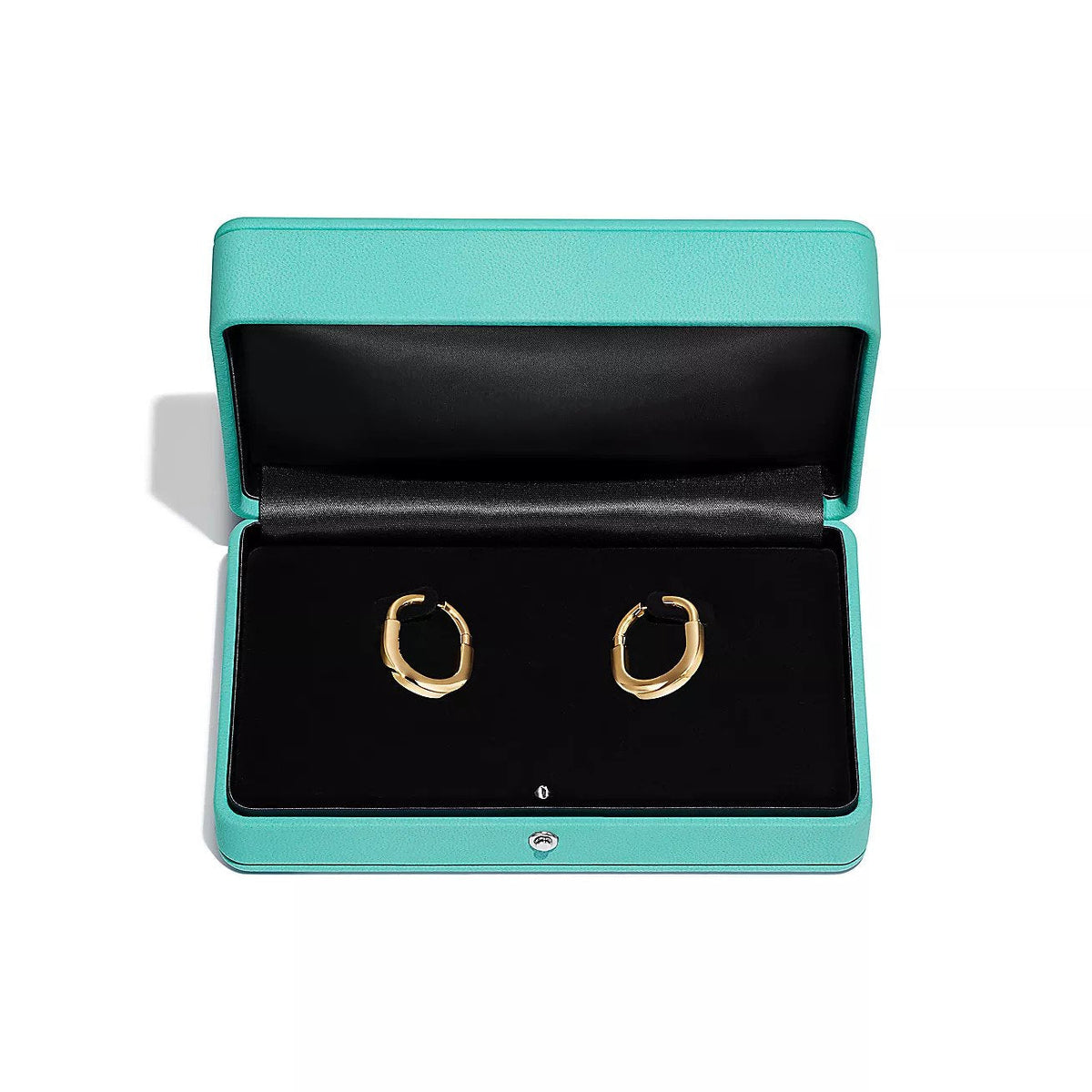 [Resenly Jewelry]LOCK MEDIUM EARRINGS