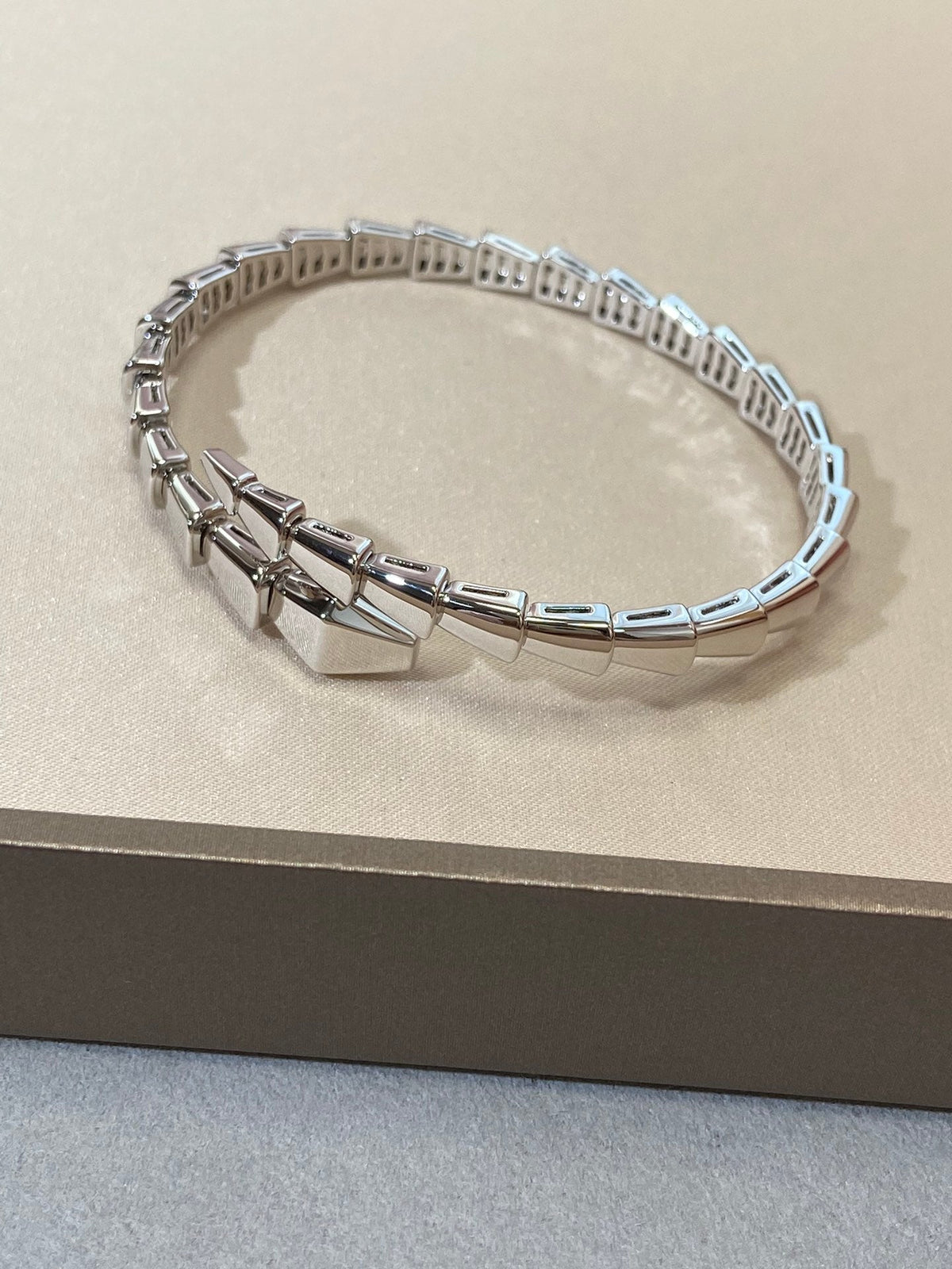 [Resenly Jewelry]SERPENTI VIPER SILVER BRACELET